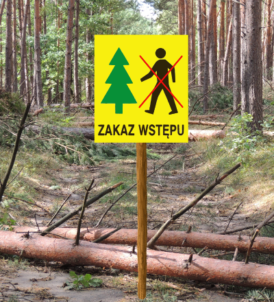 Zakaz wstępu do lasu to oficjalne oznaczenie stosowane przez Lasy Państwowe